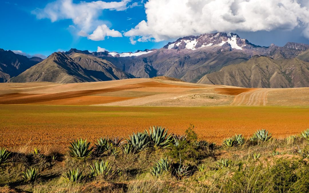 Bolivie – nos dates et itinéraire