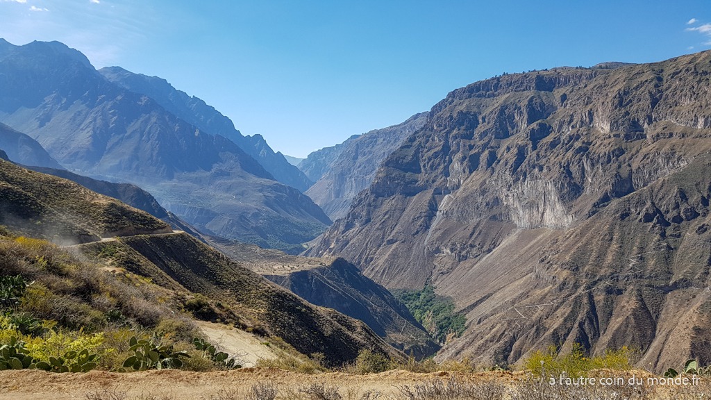 Le canyon de Colca