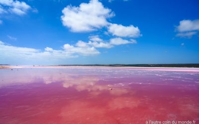 Le lac rose de la côte ouest australienne, à hutt lagoon près de port Gregory