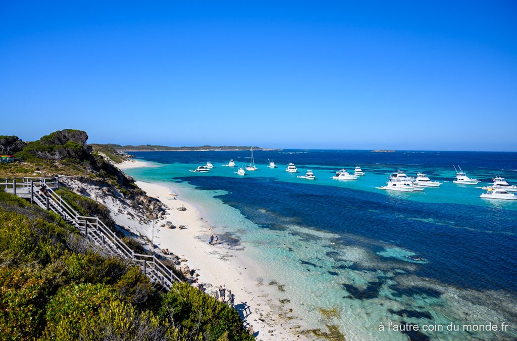 Le centre ville de Perth et Rottnest Island, l’île des quokkas – derniers jours de notre road trip sur la côte ouest australienne