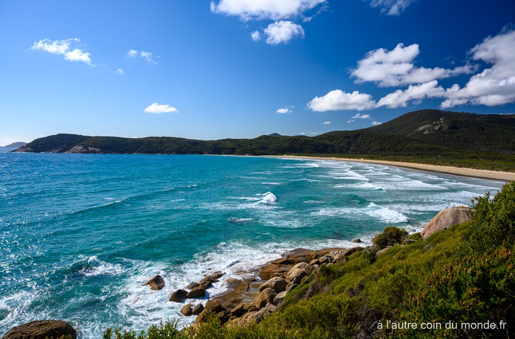 wilson promontory