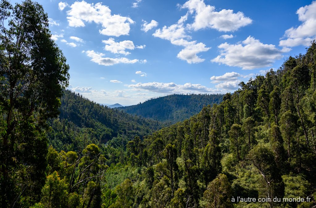 A la découverte de la Yarra Valley